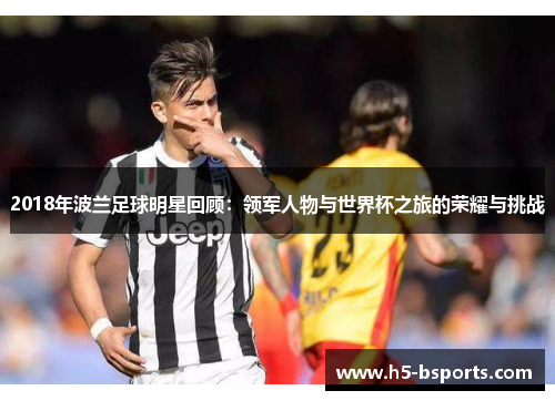 2018年波兰足球明星回顾：领军人物与世界杯之旅的荣耀与挑战