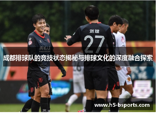 成都排球队的竞技状态揭秘与排球文化的深度融合探索